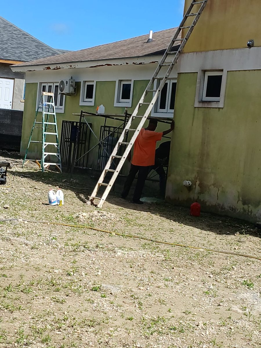 Worker treating a mildewed wall before washing